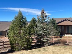 IMG_5200.jpeg IMG_5200.jpeg