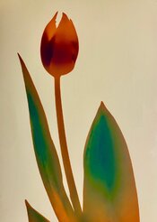 WhatsApp Image 2026-03-20 at 21.18.23.jpeg