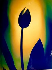 WhatsApp Image 2026-03-20 at 21.20.43.jpeg