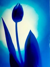 WhatsApp Image 2026-03-20 at 21.26.39.jpeg