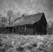 Missouri Mill Spring 2021007 Resized.jpg