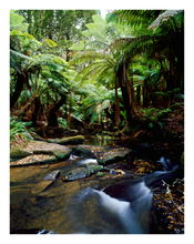 6796 Young Creek_FA_100x770png.png