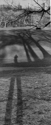 Untitled_Panorama-13.jpg
