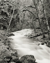 BearCreek-1.jpg