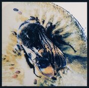 I_9nSM-QXqxMS46ZuF4c5YXrpvRB_MYBQbx2HNAVlq5G45ZPsTU2y56m4V0TVUmgtYxgEz14KukxjesvTRzPFyo--1.jpg