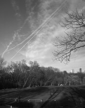 IMG_2049.JPG