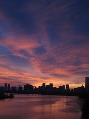 IMG_4059.JPG