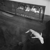 Sep 18_2 5 spot1 conv2 work3flat.jpg