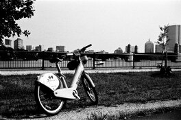 55010972660_7c2b40da49_b (1).jpg