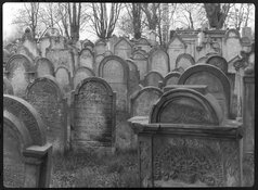 DSCF2843.jpg