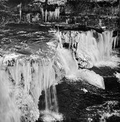 IMG_1506 copy.jpg