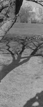 Untitled_Panorama-4.jpg