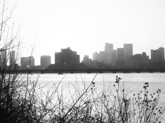IMG_4093.jpg