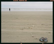 New_Zealand_213 Medium.jpeg