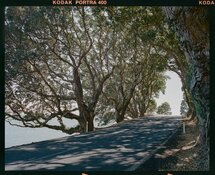 New_Zealand_227 Medium.jpeg