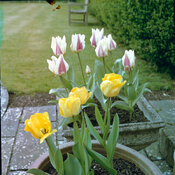 HCM001-010.jpg