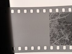 PXL_20260415_004659322.jpg