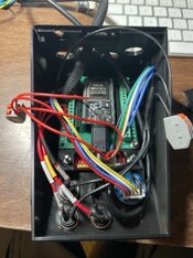 IMG_0373 Medium.jpeg