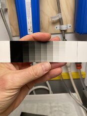 IMG_9816.jpeg