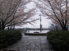 IMG_4173.jpeg
