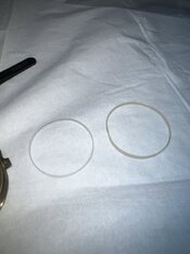 IMG_7242.jpeg