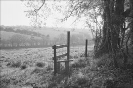 0327_33 (2)-1500-border.jpg