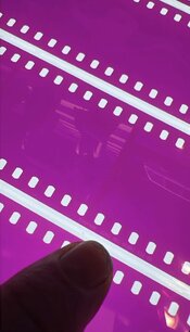 IMG_9138.jpg