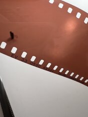 IMG_9100.jpg