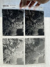 IMG_5781.jpeg