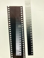 IMG_4328.jpeg