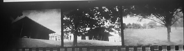 IMG_1524.jpeg