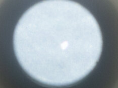 quigsphoto_QUIG2001.jpg