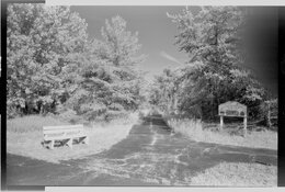 Crossroads with finger SFX with 25A filter 2014.jpeg