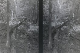 4.JPG