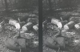 11.JPG