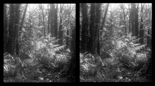 frame034and031parallelview.jpeg