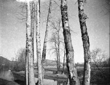 img060small.jpg
