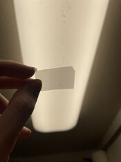 IMG_5527.jpeg