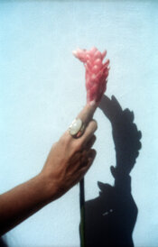 img12.jpg
