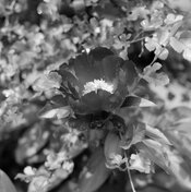 quigsphoto_raw_roll48_2025-06-04-011-positive.jpg