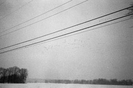quigsphoto_roll99_2025-12-01-20-positive.jpg
