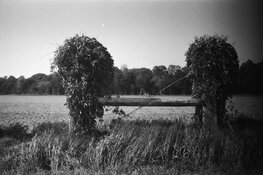 ORF-Test-35mm-Charleston-Canon-RebelS2-lensbaby_firsttest_20-badframe.jpg ORF-Test-35mm-Charleston-Canon-RebelS2-lensbaby_firsttest_20-badframe.jpg