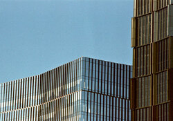 55042011016_5c21ee5479_b (1).jpg