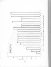 Scan 11.jpeg