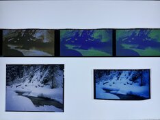 IMG_0354.jpeg