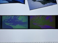 IMG_0355.jpeg