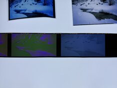 IMG_0356.jpeg