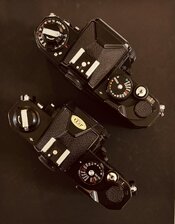IMG_2085-compressed.jpeg