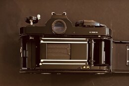 IMG_2087-compressed.jpeg