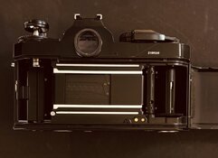 IMG_2088-compressed.jpeg